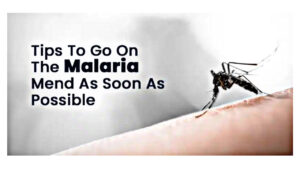 Learn effective ways to help a malaria patient recover.