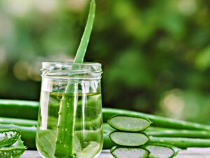Applying aloevera to your face at night offers great benefits; discover its magical advantages