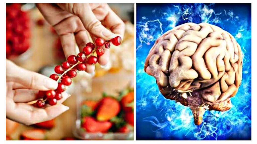 If your memory is weakening, include these superfoods in your diet