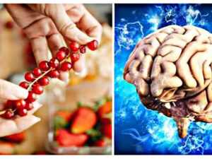 If your memory is weakening, include these superfoods in your diet