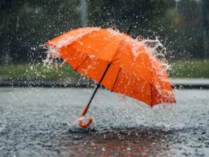 Business Idea: Earn Big Money This Monsoon Season, Just Start This Business