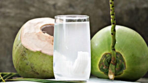 Natural benefits of drinking coconut water, know what problems will be solved?