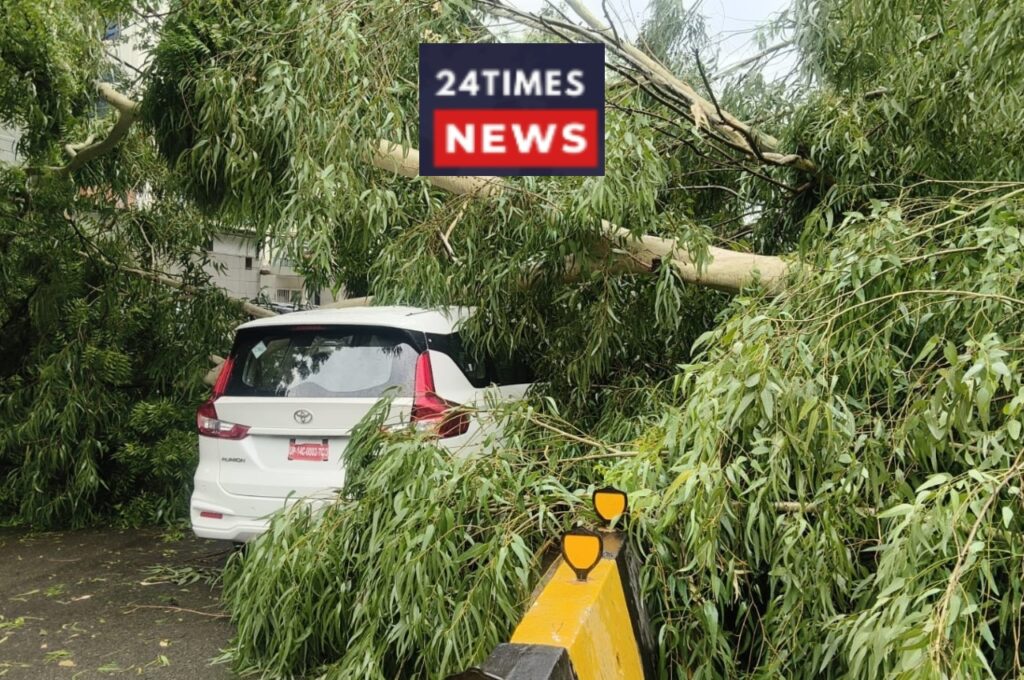 Rain in Delhi Slows Pace, Trees Fall on Roads, Know What the Weather Will Be Like Next
