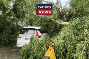 Rain in Delhi Slows Pace, Trees Fall on Roads, Know What the Weather Will Be Like Next