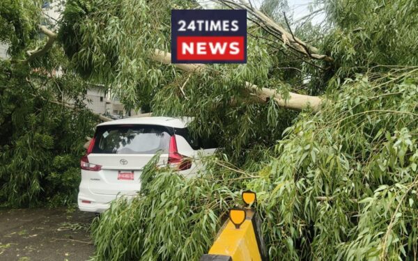 Delhi Rain