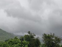 Monsoon Alert