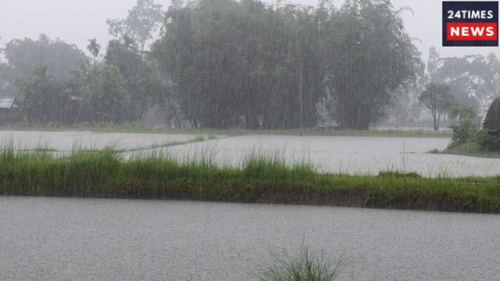 Monsoon Alert 2 8