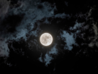 Moon transit into capricorn 1