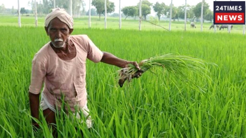 PMKSNY: When Will Farmers Receive the 24th Installment of ₹2000? Check Your Name