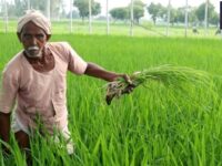 PM KISAN YOJANA