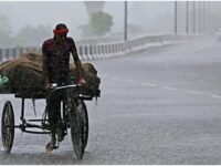 Rain Alert