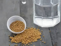 Untitled design 2026 07 18T152523.473 fenugreek