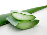 aloevera gel aloevera gel