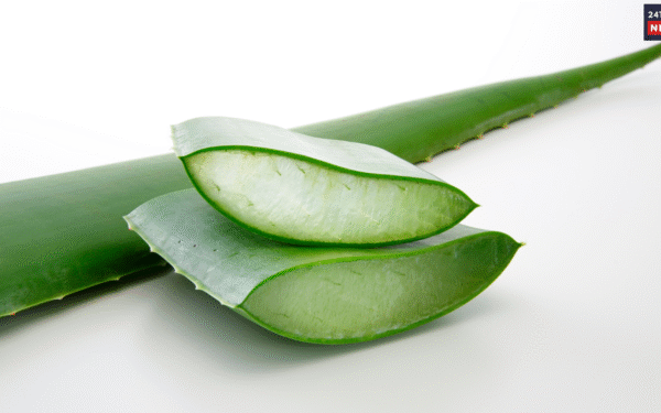 aloevera gel aloevera gel