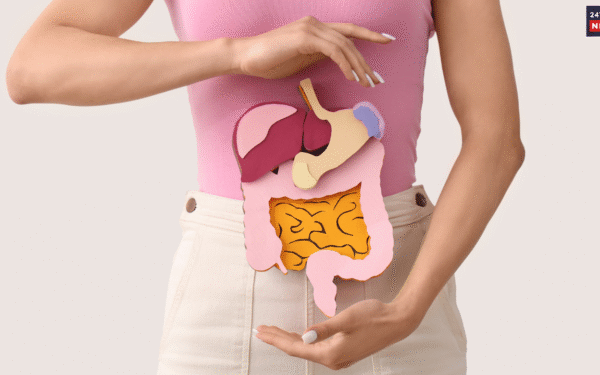 digestion