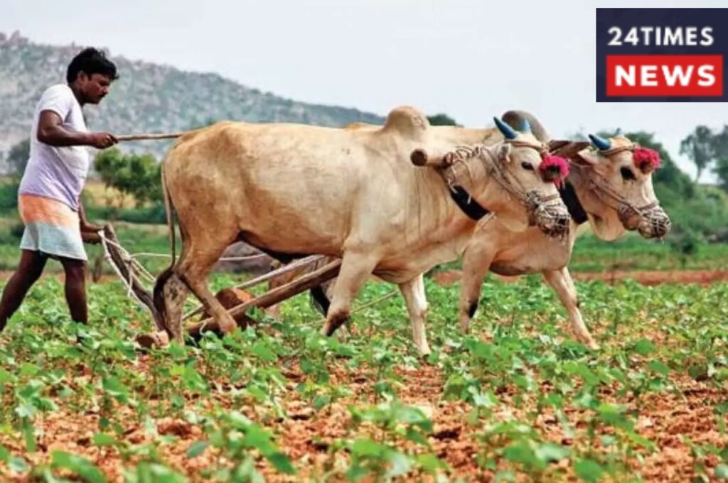 pm kisan yojana 1 pm kisan yojana 1