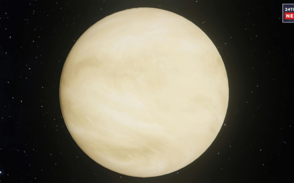 venus in virgo 1 2