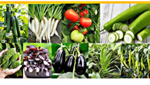 Health Tips: If you want better immunity during monsoon, then include these vegetables in your diet