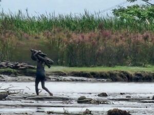 Dead Bodies Flowing From Nepal Into India Through Rivers, 4 Bodies Recovered