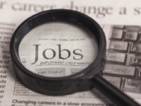 Government job application 1