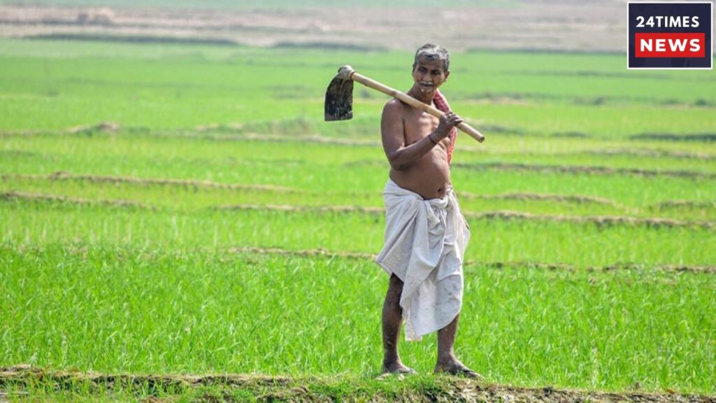 Kisan 1 1