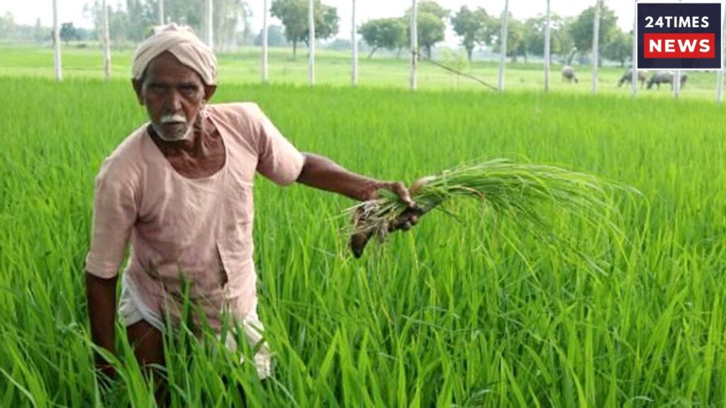 Will Farmers Get Rs. 4000 On Raksha Bandhan? Know The Truth Behind The Viral Claim