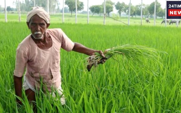 Will Farmers Get Rs. 4000 On Raksha Bandhan? Know The Truth Behind The Viral Claim