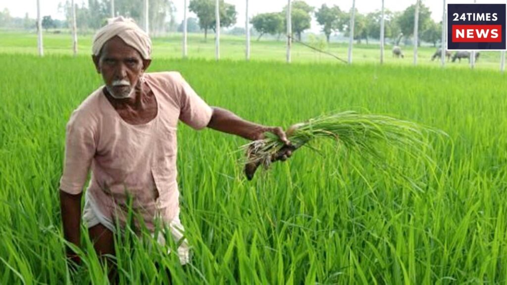 Kisan Yojana 3 Complete This Work Quickly Before the Next ₹2000 Instalment; Know the Details