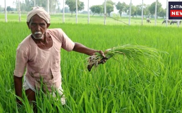 Kisan Yojana 3 Kisan Yojana