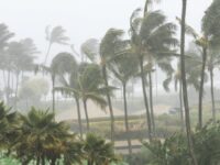 Monsoon Alert
