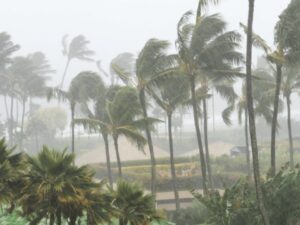 Monsoon Alert: No Respite From Monsoon Yet, Thunderstorm And Heavy Rain Warning In 26 States