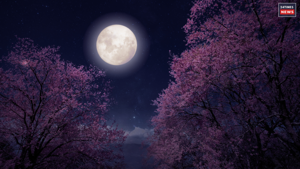 Moon transit into capricorn 2