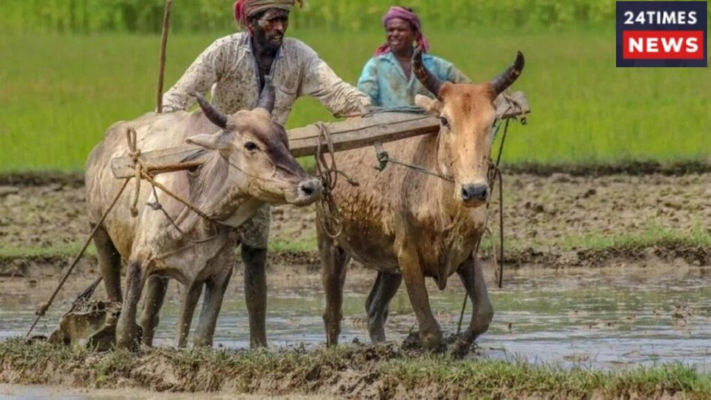 Farmers To Get ₹2000 Instalment Before Diwali, Complete Required Work Soon.
