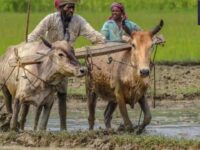 PM Kisan Yojana