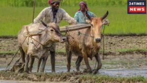 Farmers To Get ₹2000 Instalment Before Diwali, Complete Required Work Soon.