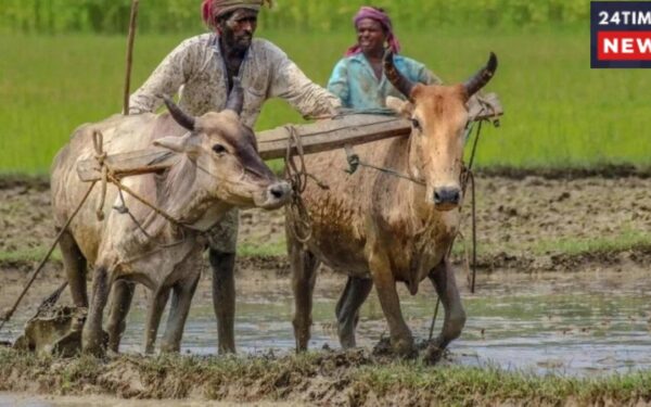 Farmers To Get ₹2000 Instalment Before Diwali, Complete Required Work Soon.