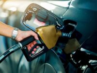 Petrol Diesel Price 8 Petrol-Diesel Price