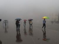 Rain Alert
