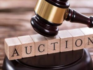 Delhi’s luxury property scam: From fake documents to fake auctions, this is how the multi-crore scam unfolded.