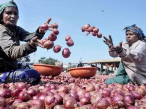 Onion Price Hike: Government takes major step to address rising prices; ‘Kanda Express’ will run from Nasik to four cities including Delhi.