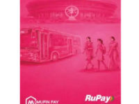 pink cards 1