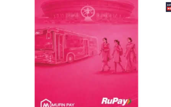 pink cards 1