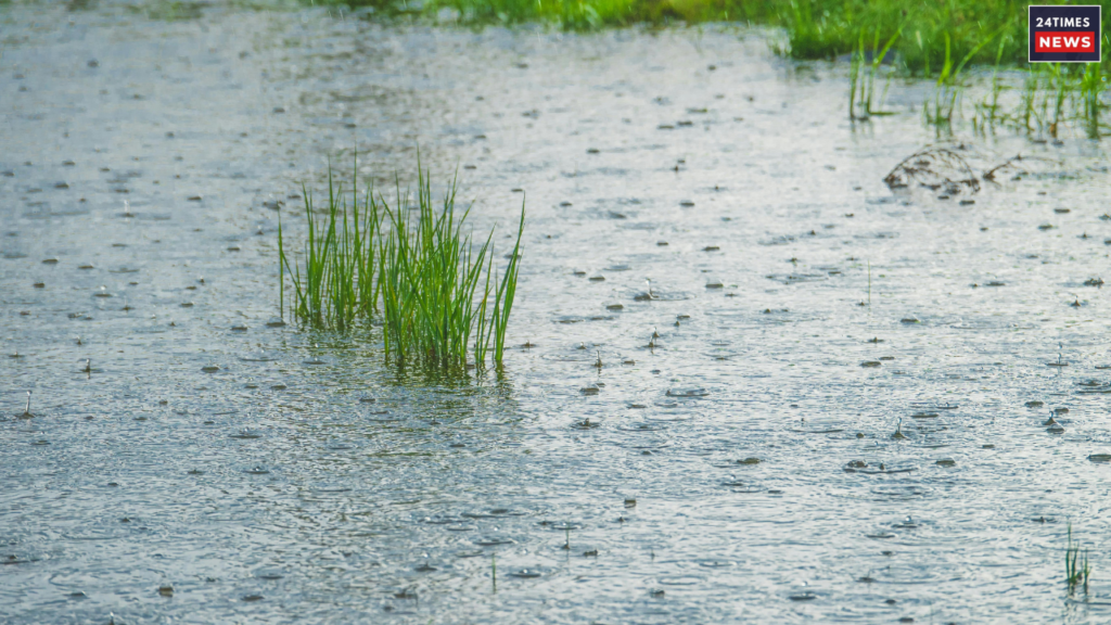 Do not make these mistakes during the rainy season; know the details here