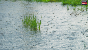 Do not make these mistakes during the rainy season; know the details here
