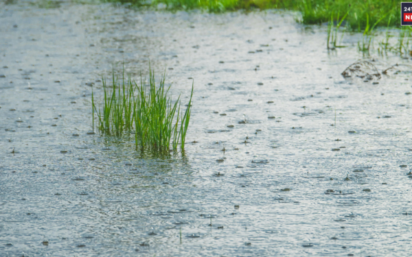 rain water 1