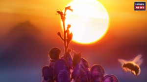 Career of these two zodiac signs may get affected after the eclipse, Know details