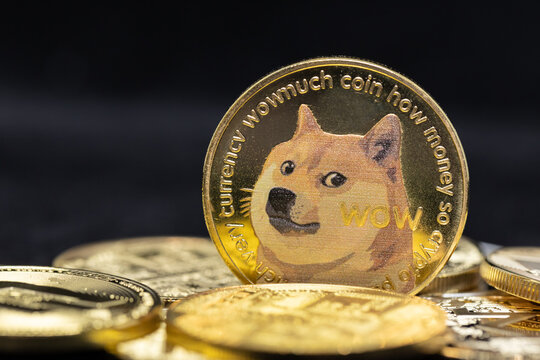 Dogecoin Images – Browse 5,707 Stock Photos, Vectors, and Video | Adobe  Stock