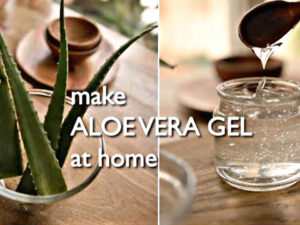 Make aloevera gel at home and apply it on your face, learn the easy way