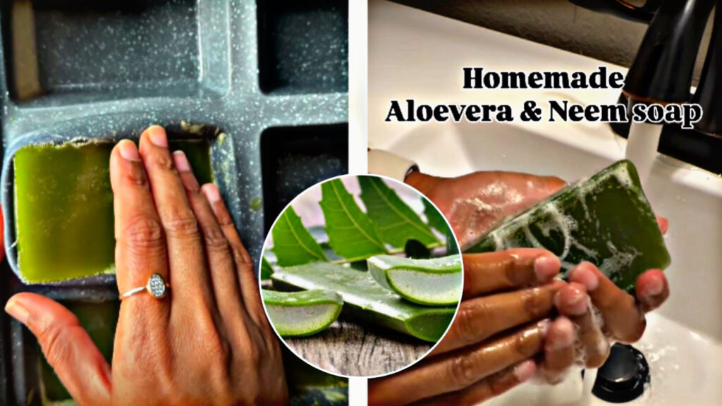 To remove pimples, prepare soap made from neem leaves and aloe vera gel at home, you will get glow and shine