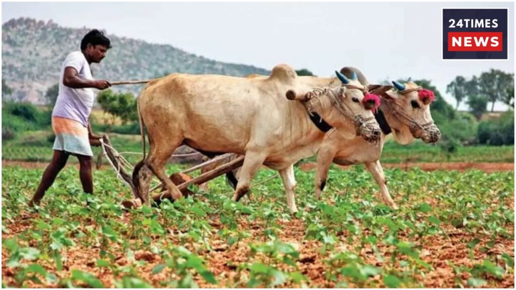 Kisan Loan 1